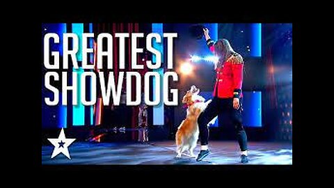 Top 10 Dog Acts That Got Simon Cowell To Go CRAZY!