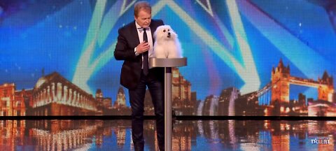 Marc mertal and hig talking dog Wendy wow the judges! Audition weak 1. Britain's got talent 2015