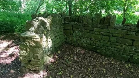 Woodland Between Upper Harlestone and Lower Harlestone, (Possibly a former Quarry)