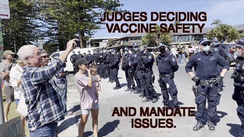 JUDGES DECIDING VACCINE SAFETY AND MANDATE ISSUES