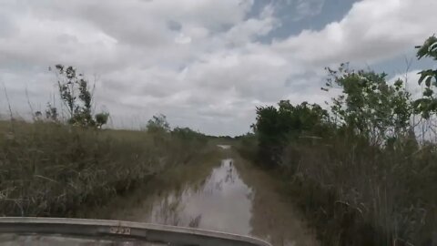 EVERGLADES AIRBOAT RIDE AT ALLIGATOR FARM