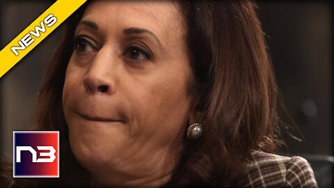 WATCH Border Czar Kamala Gets Testy w/ Reporter when they Ask about... the Border