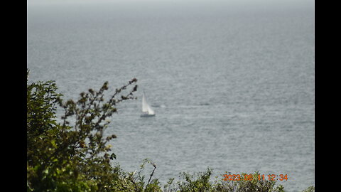 Saint Mary's cove Brixham short clip 20-07-2023