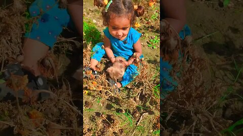 Cute Baby Playing With Baby Cats 🐈‍⬛#funnycats #cutebaby #cats #cutepets #tiktok #pets#shorts#viral