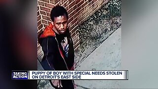 Puppy of boy with special needs stolen on Detroit's east side