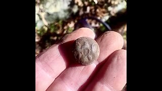 Civil War Infantry button found