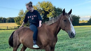 Riding Horses with Lauren Allport in NORMANDY|| France Vlogs Part 1