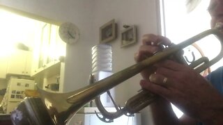 Over the Rainbow with live trumpet valve Live View by dedekind music