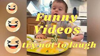 �� Try Not To Laugh Funny Videos ����