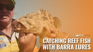 Catching reef fish with barra lures - super FUN!