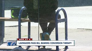 New York State passes law banning conversion therapy for minors