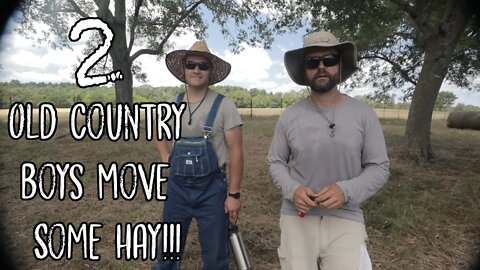 Let's Move Some HAY!!!/ Crown Shade Review/ Fig tree Update!!!