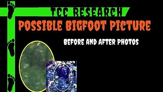 Possible Bigfoot Picture | Before and After Photos