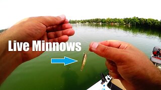 Crappie Fishing with LIVE Minnows Day 24 of 30 day challenge