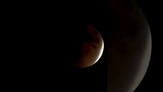 TOTAL Lunar Eclipse on November 8, 2022! #shorts