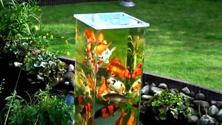 3 Above Water Fish Tanks