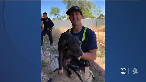 Tucson firefighters save puppy who fell down 15-foot hole