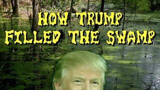 How Trump Filled The Swamp