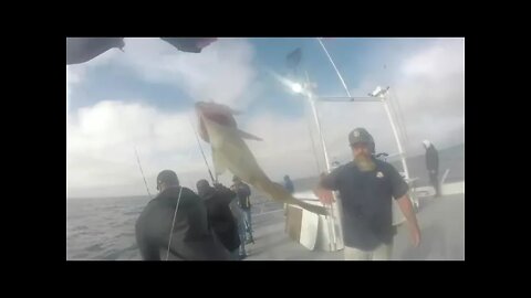 Dolphin Sportfishing! Rockfish and Whitefish!