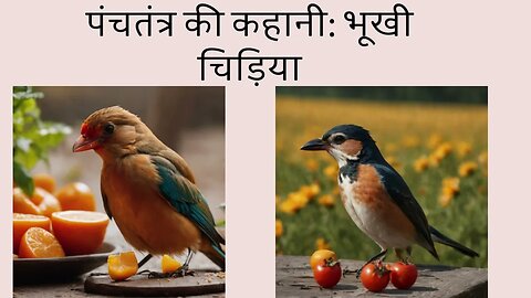 पंचतंत्र की कहानी: भूखी चिड़िया | Hungry Bird Story In Hindi