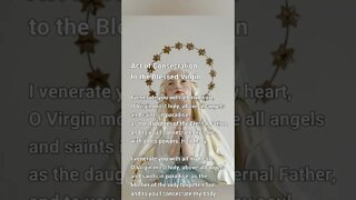 Act of Consecration to the Blessed Virgin #shorts #shortsvideo