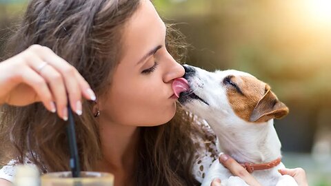 Dog lip kiss girl and woman.best animals video