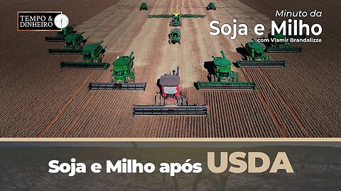 Soja e Milho após USDA. Acompanhe o fechamento de hoje.