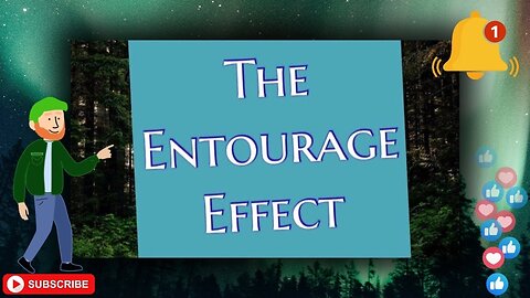 The Entourage Effect