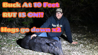 2 HOGS DOWN/RUT IS ON/WHITETAIL BUCK AT 10 FEET! American Country Outdoors Join me. #hunting Deer