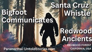 Bigfoot Whistle in Santa Cruz - California Redwoods Mystery #untoldstory #santacruz #scarystories