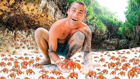 100 Million Red Crabs On A Tropical Island - Biggest Crab Migration In The World