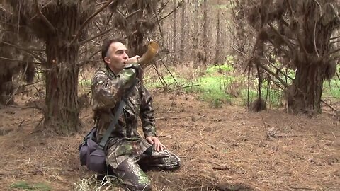 TV WiLD episode seven - The Fallow deer of Woodhill Forest
