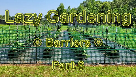 Lazy Gardening, Part 6 - Barriers