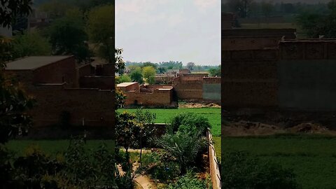 Amazing😍 Village🌧️ Beautiful #youtubeshorts #viral #punjab