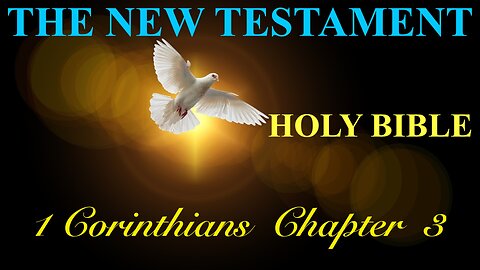 1 Corinthians - Chapter 3 DAILY BIBLE STUDY {Spoken Word - Text - Red Letter Edition}