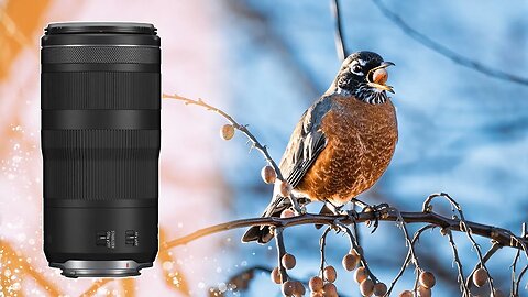 Hands-on Canon RF 100-400mm f5.6-8 USM Review with Test Shots