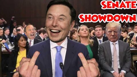 The Salty Cracker - Democrats Plan To Make Musk Testify In Congress Over Twitter Purchase