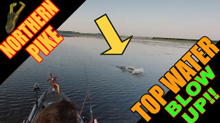 Topwater Blowup Kayak Pike Fishing on the Vibe Shearwater 125!!!