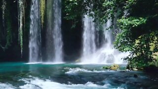 MÚSICA RELAXANTE COM SOM DE CACHOEIRA E PÁSSAROS - CACHOEIRA PARA DORMIR. RELAXAR E MEDITAR #shorts