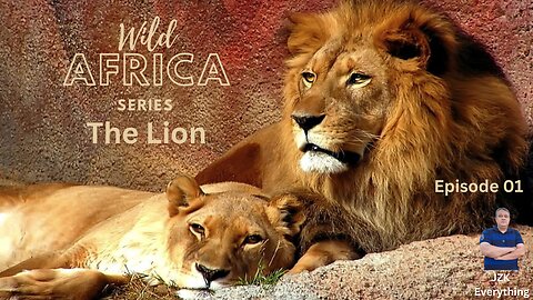 WILD AFRICA SERIES | THE LION | EPISODE 01 | JZK EVERYTHING