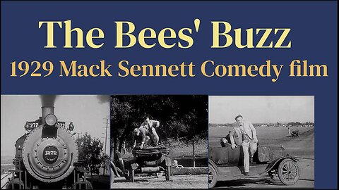 The Bees' Buzz (1929 "Talkie" Comedy film)