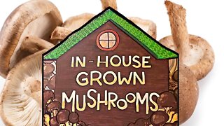 Mushroom Grower Set-Up