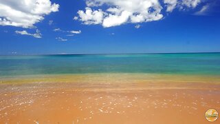 Tropical Beach Ambiance On A Beautiful Sunny Day - Ocean Waves Sounds - Nature ASMR - 4K UHD