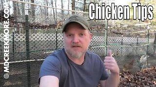 Your Questions Answered - Tips for Keeping Chickens 🐔