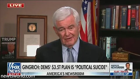 Newt Gingrich on Fox News Channel's America's Newsroom | August 10, 2021