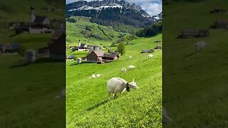 Switzerland 🇨🇭 #appenzell #switzerland🇨🇭