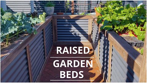 How To Build DIY Raised Garden Beds Cheap | Recycled Corrugated Metal & Hardwood