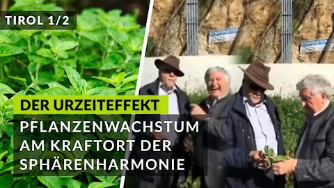 Positive Wirkung der Sphärenharmonieanlage (SHA) auf das Pflanzenwachstum (Durch den Urzeit-Effekt)