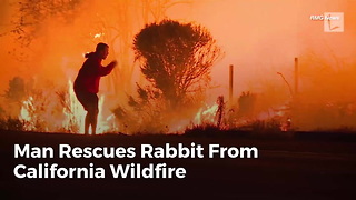 Man Rescues Rabbit From California Wildfire