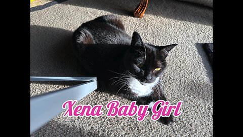 Xena Baby Girl catching some sunbeam!